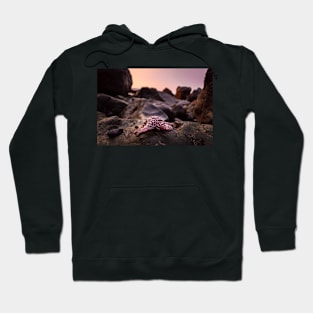 Red Starfish on Rocks Hoodie